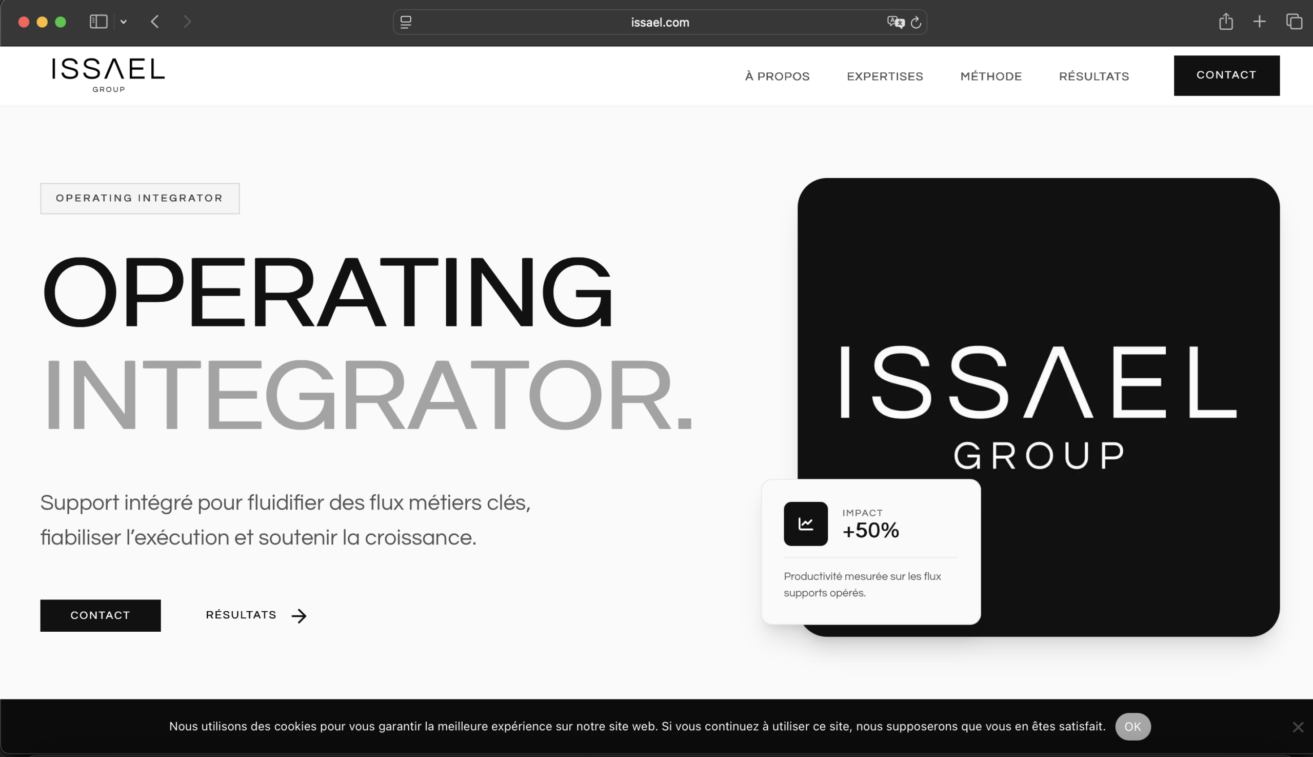Capture du site Issael Group