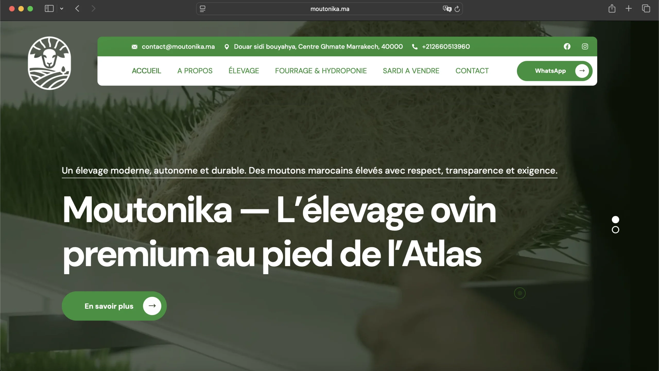 Capture du site Moutonika